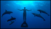 Free diver swimming with dolphins