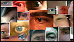 eye