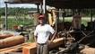 Alfredo Brasco owns one of the few sustainable logging operations in the area.