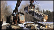 illegal logging in Siberia