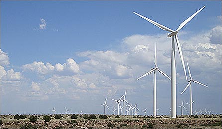 Wind turbines in a field