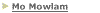 Link to Mo Mowlam