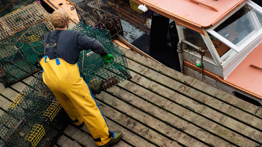 A fisherman taking a fishing cage off a boat