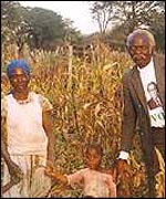 The Gobo family, central Zimbabwe