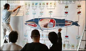 Japanese whale poster