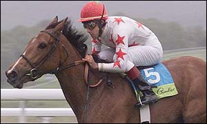 Mellow Park won by 11 lengths in the Lupe Stakes.