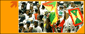 The Windies' fans have plenty to cheer after their team's victory over India