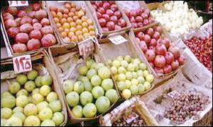 Fruit generic