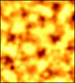 CBI/Caltech/NSF