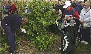 Colin Montgomerie (left) found his ball in a bush after hitting a spectator on the 16th
