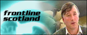 Sheep dip graphic