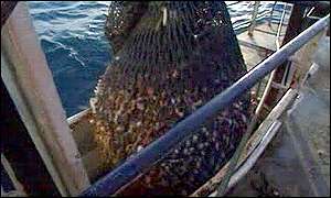 Fishing trawler hauling in a catch