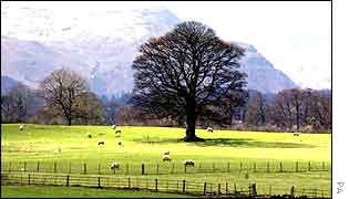  A view of the Lake District