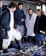 Men and fish in market   BBC