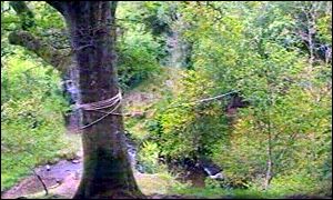ravine accident scene