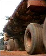 Logging truck   TVE
