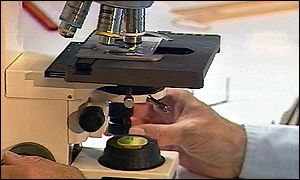 Lab