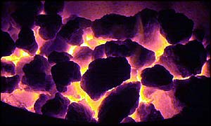 Coal