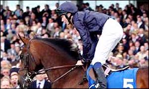 Hawk Wing suffered a narrow defeat in the 2,000 Guineas at Newmarket