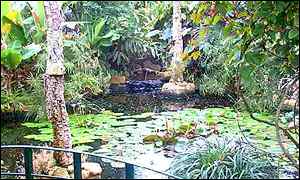 Stratford Butterfly Farm