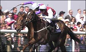 Royal Rebel (right) edges out Persian Punch in last year's Gold Cup