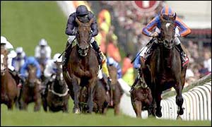 Hawk Wing is headed by High Chaparral in the Derby