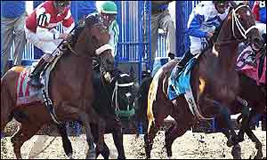 War Emblem (centre) and Magic Weisner at the start of the Belmont Stakes