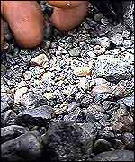 Coltan   TVE