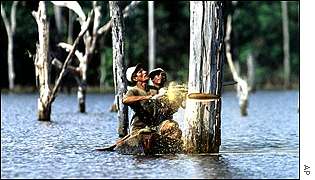 Loggers working in the Amazon