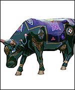 cow