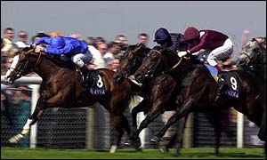 Black Minnaloushe (centre) got up to win last year's St James's Palace Stakes
