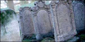 The vandalised graves were discovered on Sunday morning