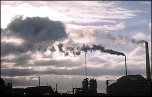 Waste incinerator