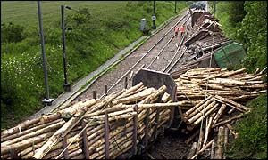 Timber on line