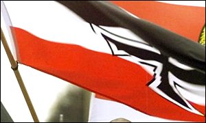 Nazi flags