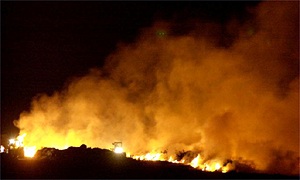 Pyres for burning slaughtered animals