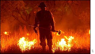 Arizona firefighter