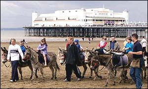 Donkeys at a donkey derby in Weston Super Mare