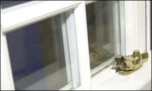 Window