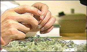 Herbal medicine