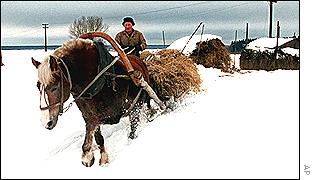 Russian farmer