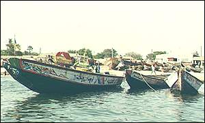 Senegalese fishing boats