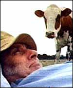 Spike + cow