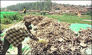 Man moving pile of bones