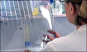 Scientists looked at gene mutations