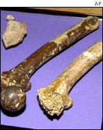 Bones generic