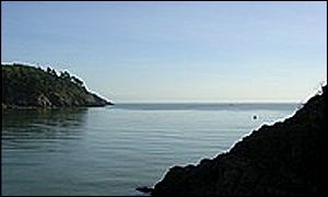 The Dart Estuary
