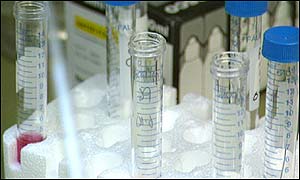 IVF test tubes