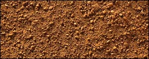 Soil, Eyewire