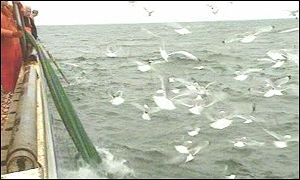 Fishing boat 